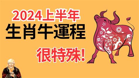 屬牛財位|【屬牛財位】2024屬牛財位指南：掌握你的財富風水